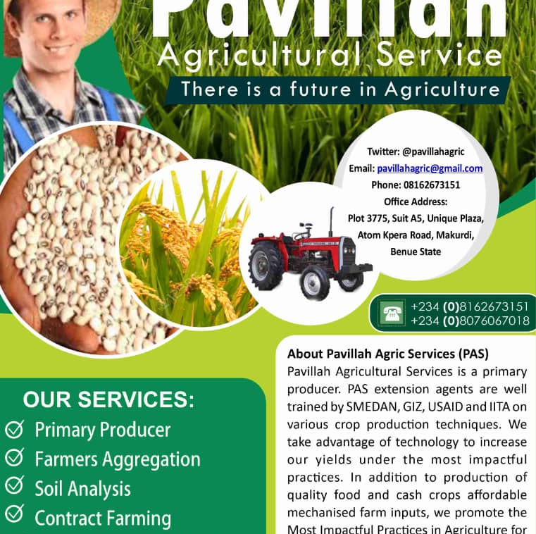 Pavillah illustration